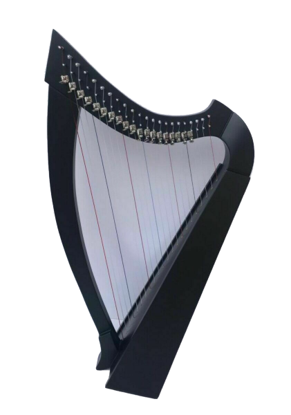 22 Strings Harp with Levers & Extra Strings Carry Soft Bag & Tuning Key 