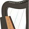 12 String Black Celtic Harp, Rosewood Irish Engraved Harp, and Free Black Bag  Substantially built Celtic harp and an excellent first choice for the beginner or student player. It is constructed from rosewood,12 nylon strings,   This harp is nylon strung and supplied with a padded bag, tuning key & an extra set of strings. Note: BUYER is Responsible for clearance of customs hold Parcel. ALL CUSTOM DUTY WILL BE PAID BY THE BUYER.   Specifications- Height: 50 cm Width: 28 cm Depth: 18 cm Weight: 8.15 KG ( 8150 gram )  Our Products  We only sell brand new products. All our Musical instruments are of professional quality. And we are certified manufacturers. we do not sell cheap hobby tools as all instruments are made of High-Quality Wood and crafted by highly skilled Carpenter.  We are Manufacturer We Will Make Bulk Quantity Order!  we deliver worldwide except Israel  Feedback  Once you receive your product in a timely manner then we expect to receive your 5-star rating. We always ask our customers to contact us if they are not happy either with their order or in case of any problem so we get it right before you leave negative feedback.