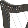 12 String Black Celtic Harp, Rosewood Irish Engraved Harp and Free Black Bag1
