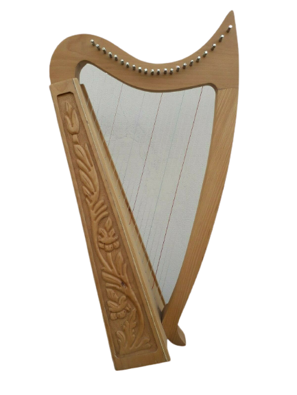 22 Strings Ash wood Celtic Irish Harp, Carry bag & Book1
