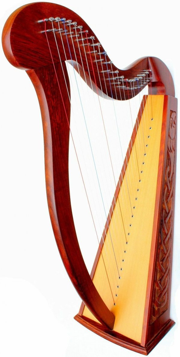BRAND NEW 22 STRINGS HARP WITH CASE EXTRA STRINGS